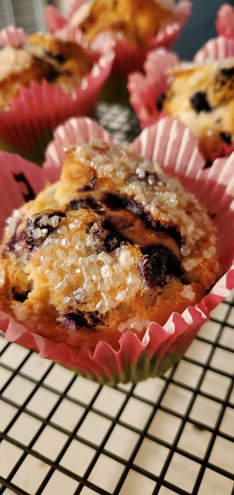 Fertile Beans photo 3