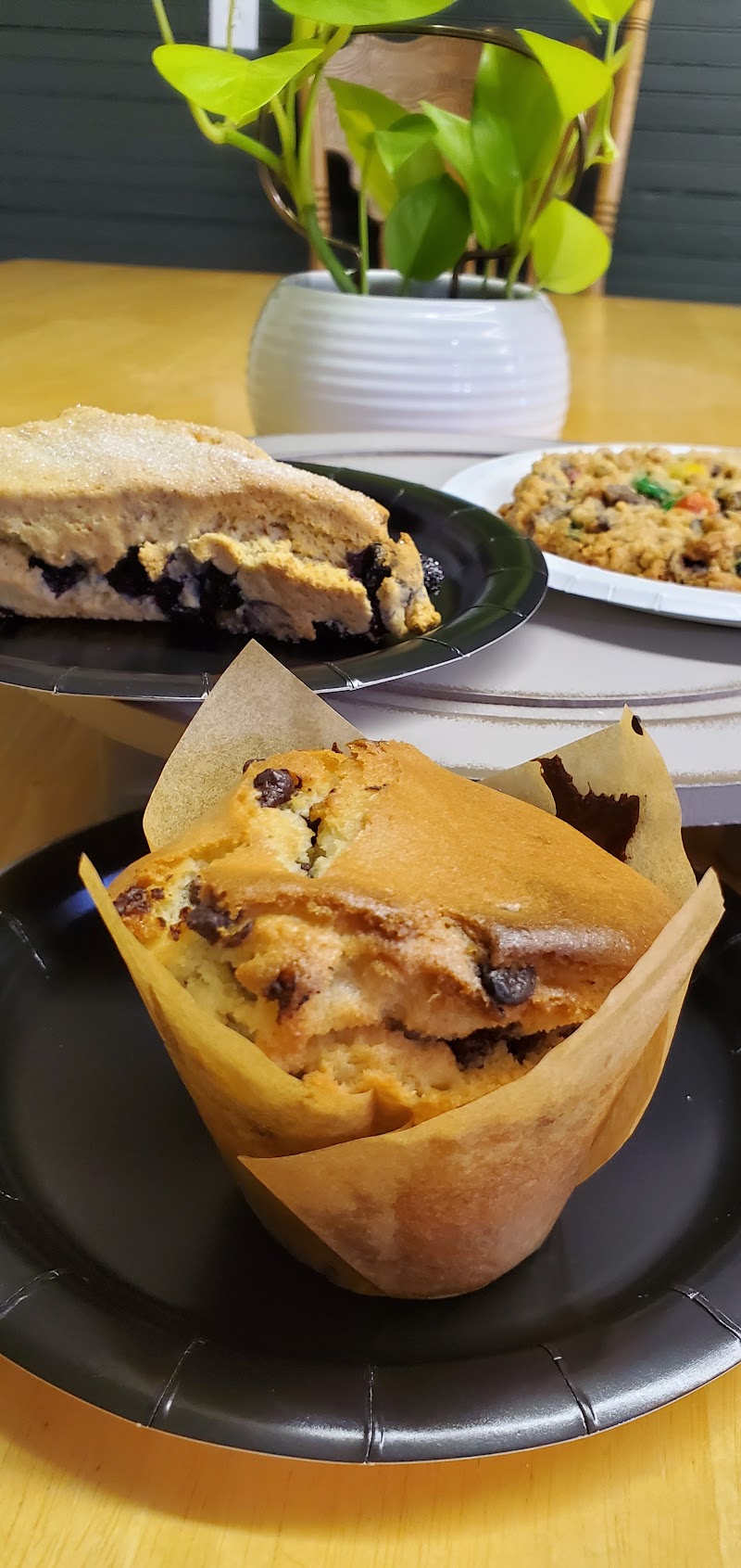 Fertile Beans photo 4