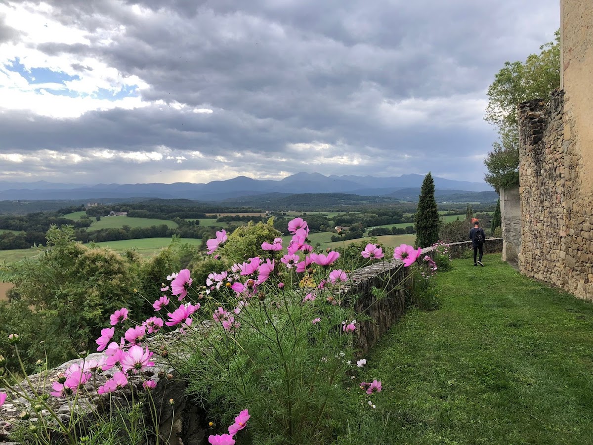 Reconnecting with Nature — 4