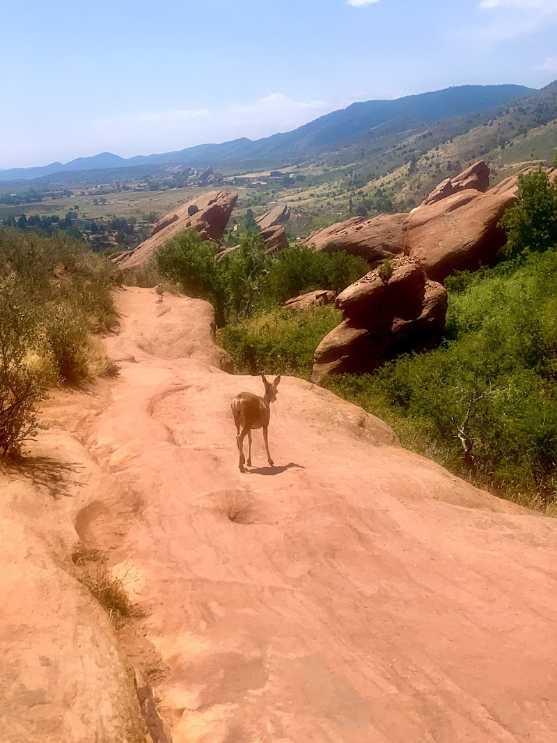 Flowing Brooks Wellness