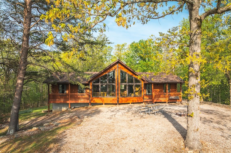 Blue Springs Ranch - Photo 6