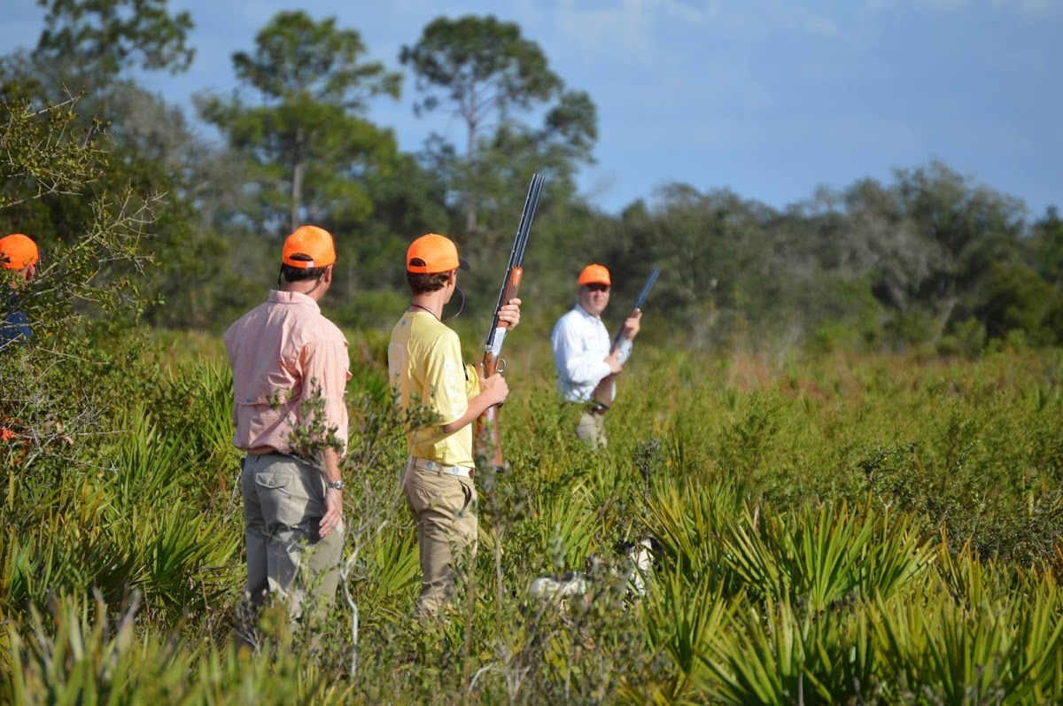 Silver Lake Preserve