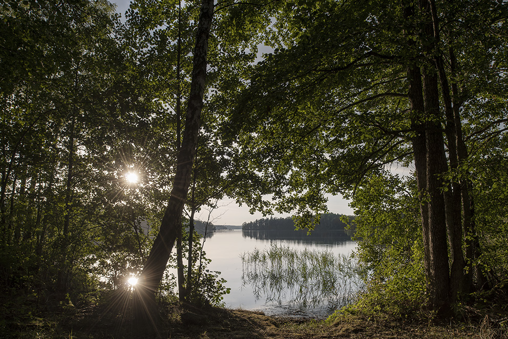 Borkhult Lapphem
