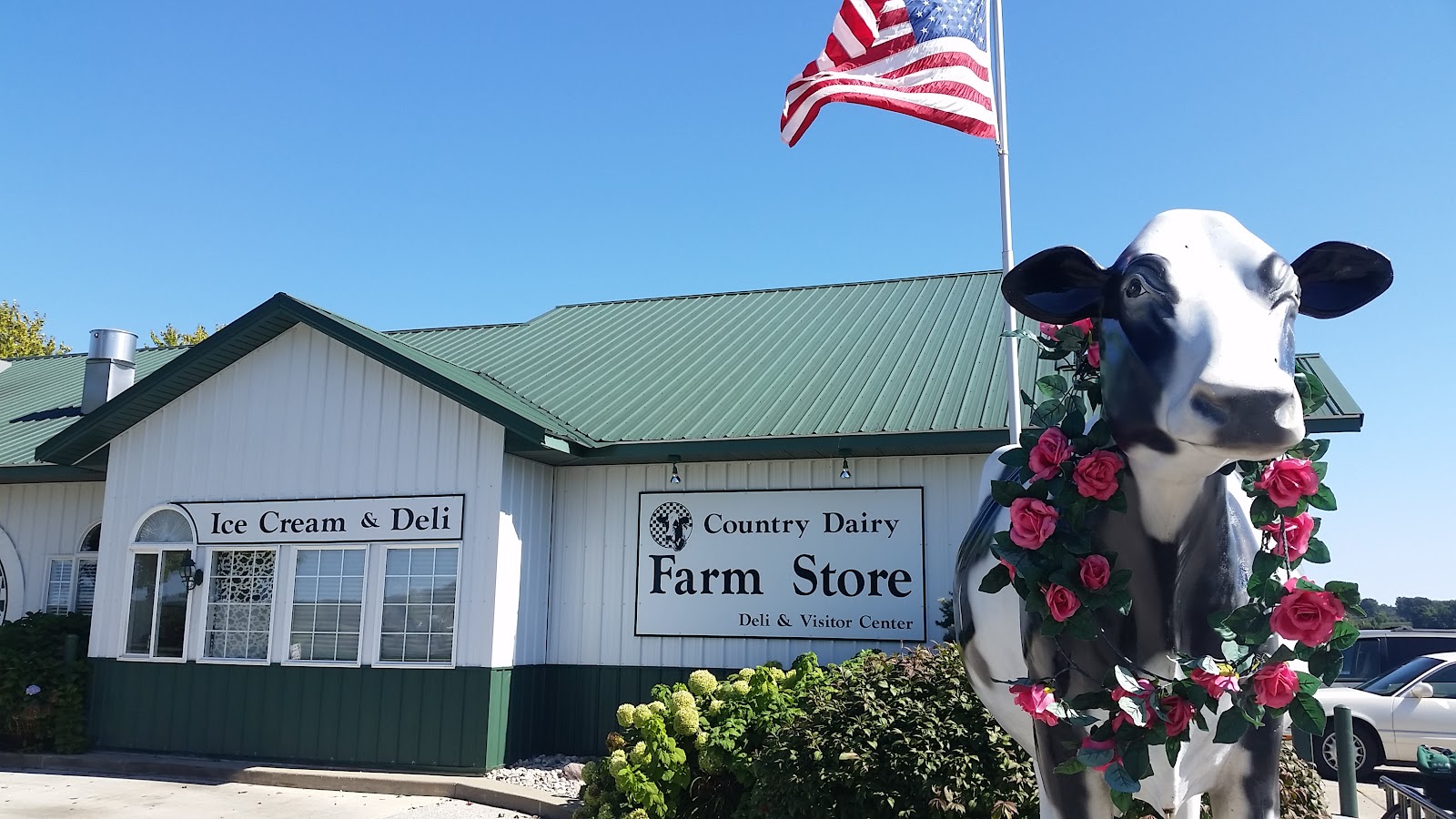 Country Dairy main