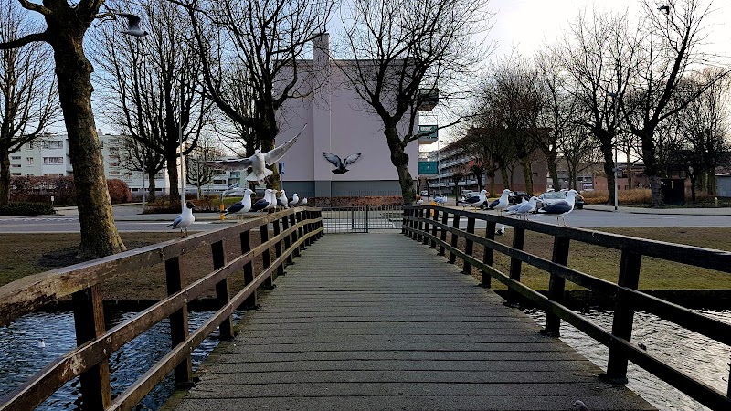 Hoogvliet Zuid