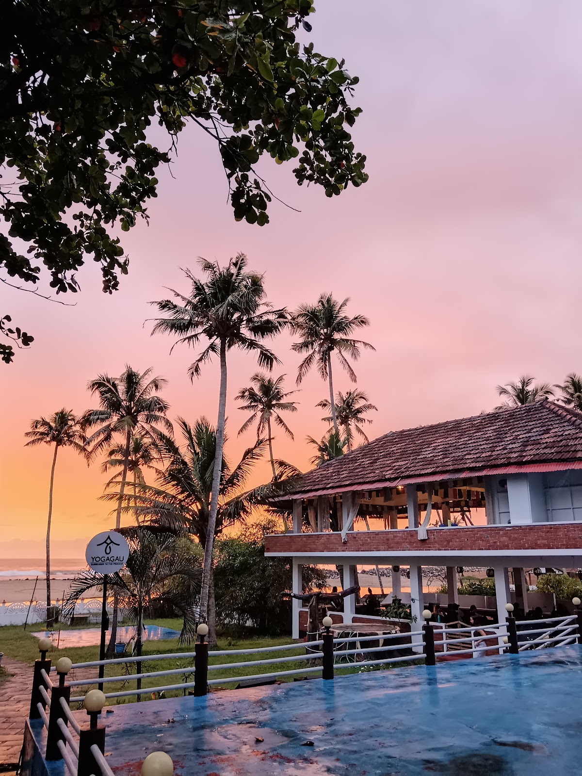 Yoga Gau | Yoga Teacher Training in Kerala — 4