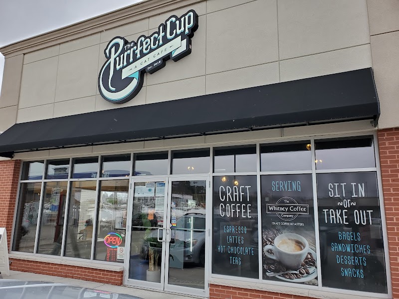 The Purrfect Cup - A Cat Cafe photo 3