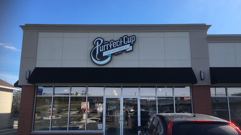 The Purrfect Cup - A Cat Cafe photo 1