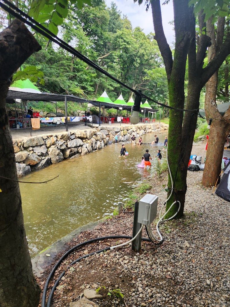 숲속가든 사진 5