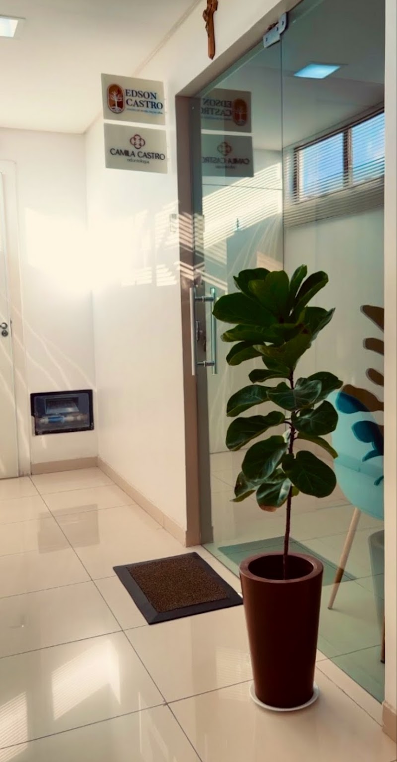 Hémylen Coimbra - Dentista - Endodontia - Canal - Biomimética - foto 3