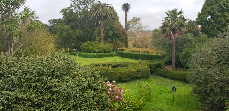 Bodega Gil Armada photo 5