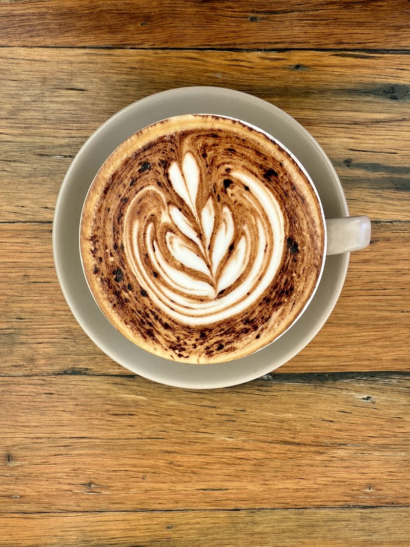 Alma Surfers Paradise photo 6