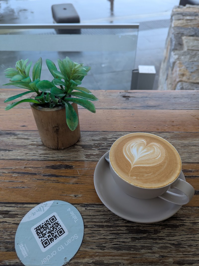 Alma Surfers Paradise photo 9