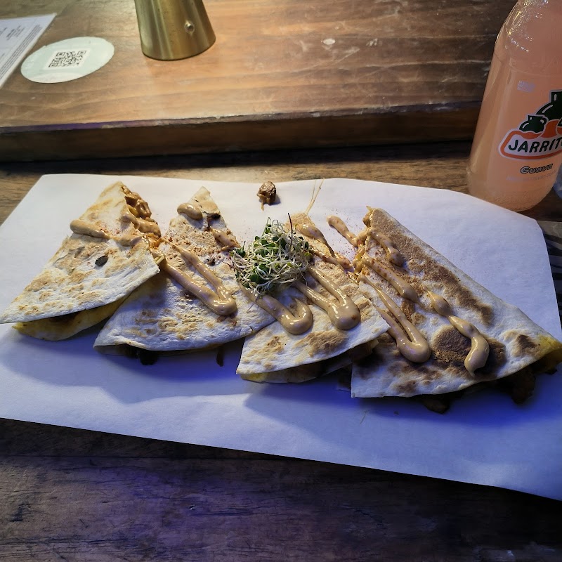 Alma Surfers Paradise photo 8