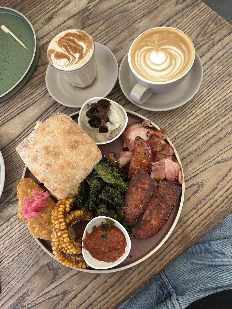 Alma Surfers Paradise photo 3