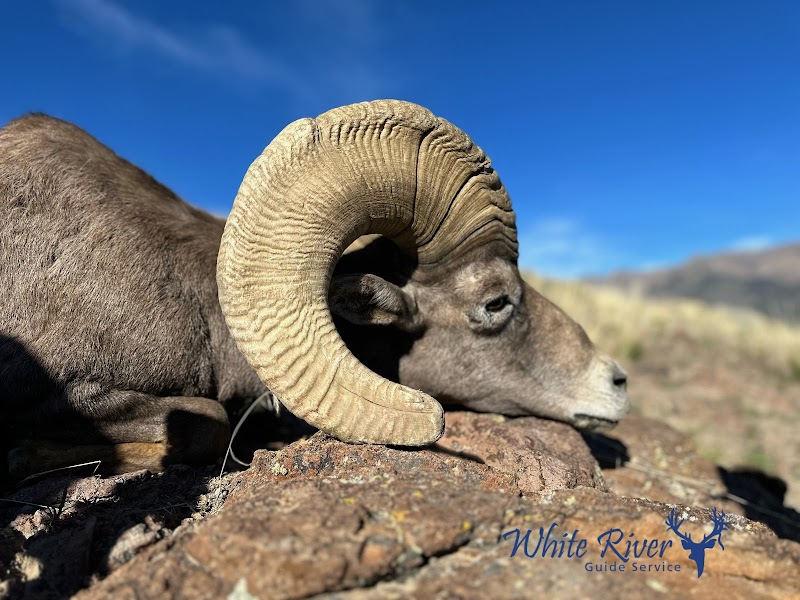 White River Guide Service - Photo 4