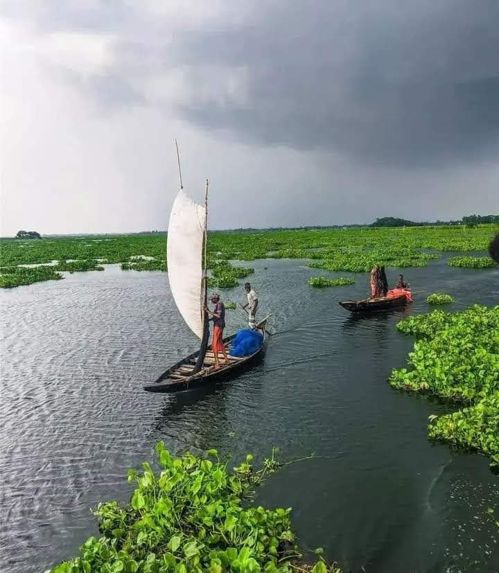 Chandan sarkar (Bapan) photo 2