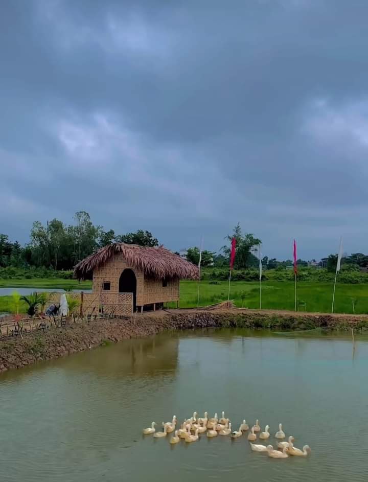 Chandan sarkar (Bapan) photo 1