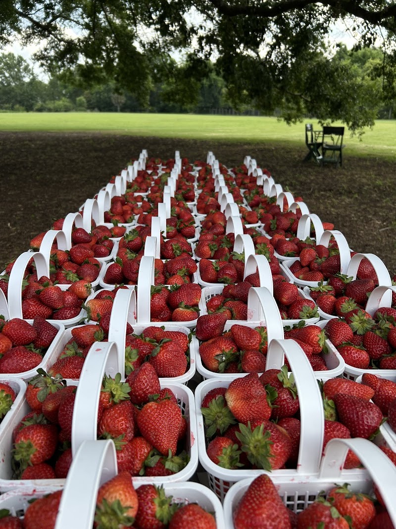 West Ashley Farmers Market photo 3
