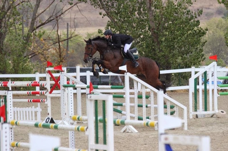 Equestrian Center Alameda del Pardo