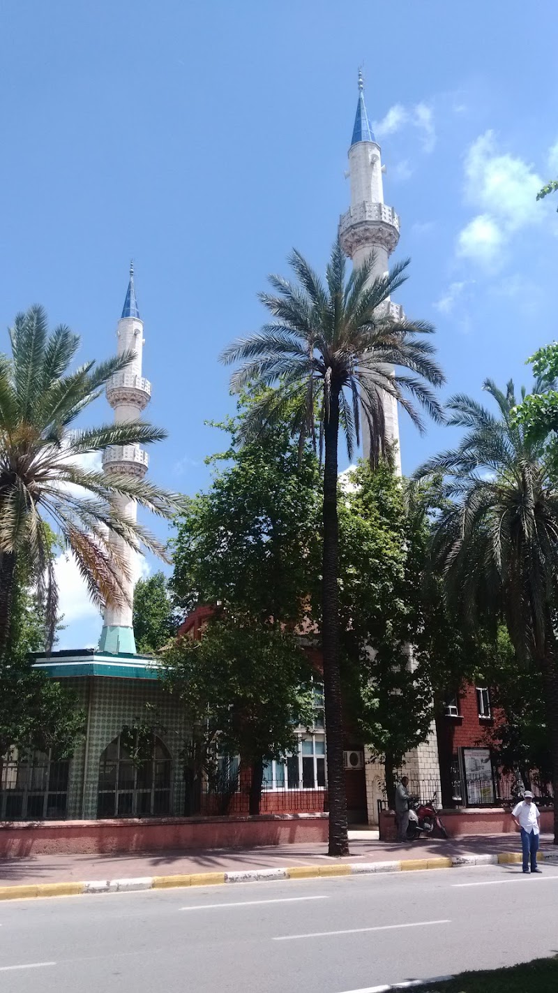 ULU CAMii photo 4