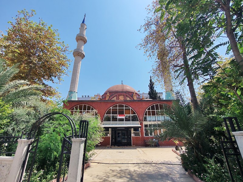 ULU CAMii photo 1