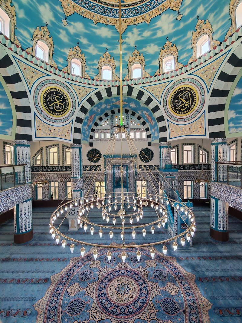ULU CAMii photo 2