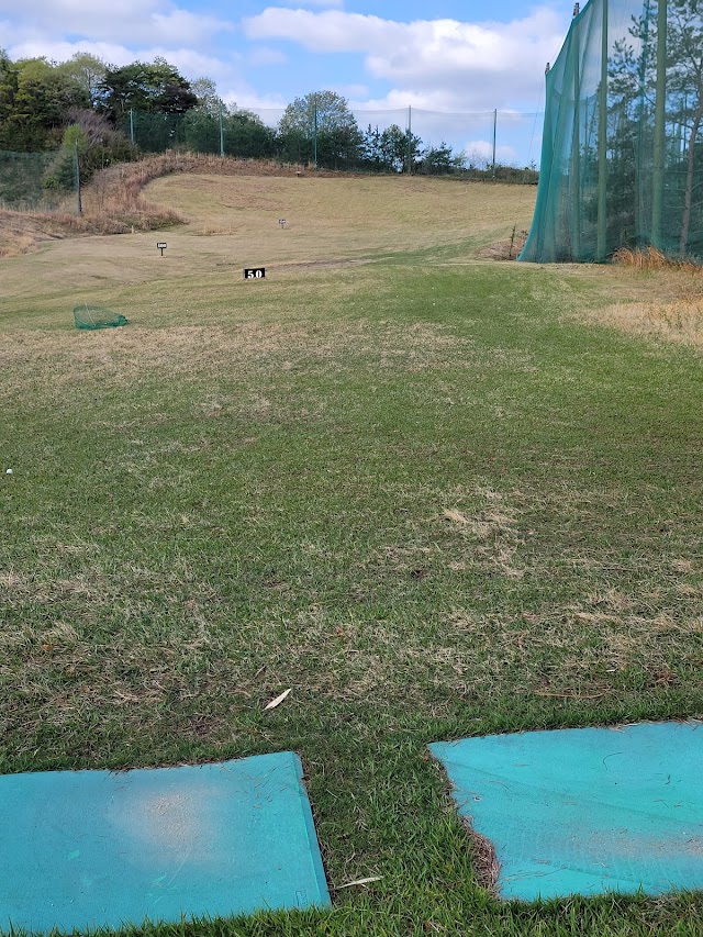 Kibi Country Club - Photo 9