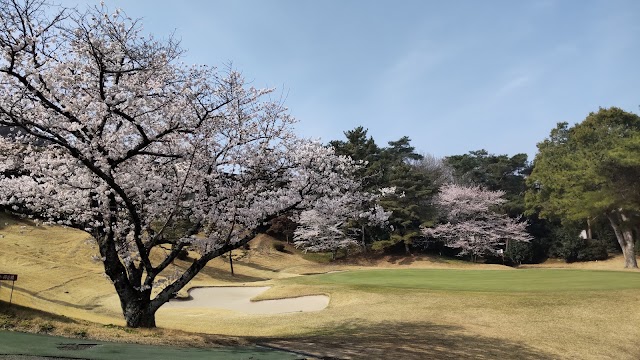 Kibi Country Club - Photo 5