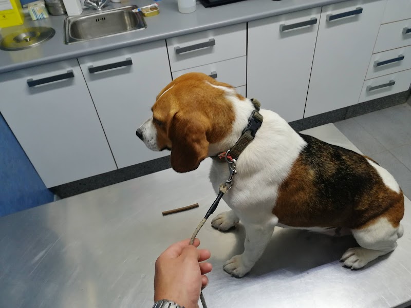 Clínica veterinaria Bitxiños
