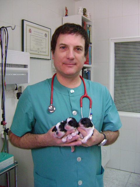 Clínica Veterinaria Alierta