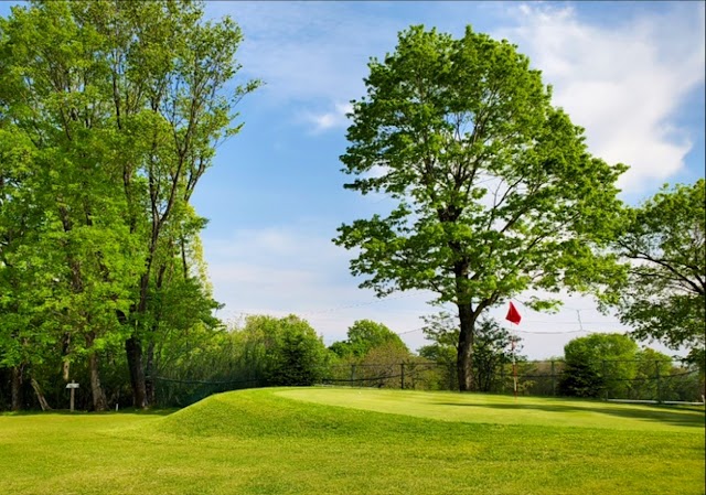 Bestland Country - Photo 1
