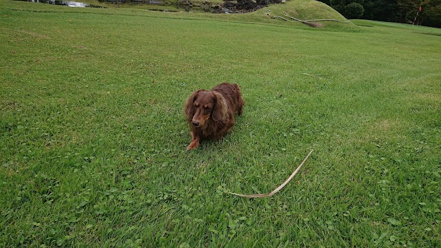 Bestland Country - Photo 10