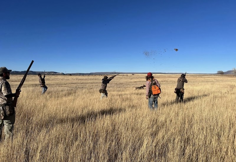 Pheasant Fever - Photo 1