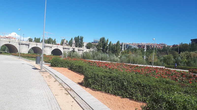 Parque Madrid Rio. Bosque de Trepa.