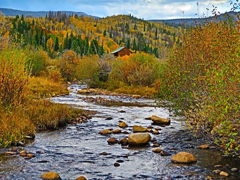 Buffalo Creek Ranch - Photo 5