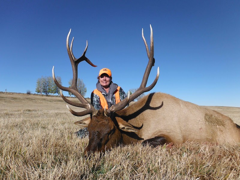Buffalo Creek Ranch - Photo 2