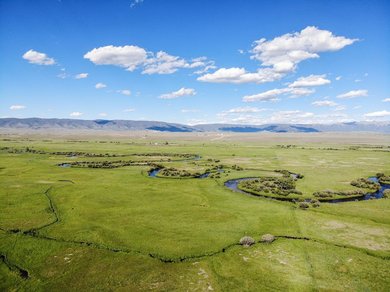 Buffalo Creek Ranch - Photo 6