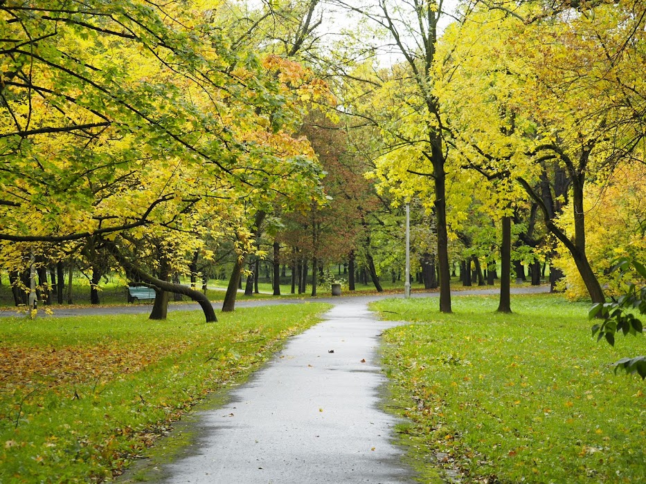 Polish Airmen Park fotoğraf 1