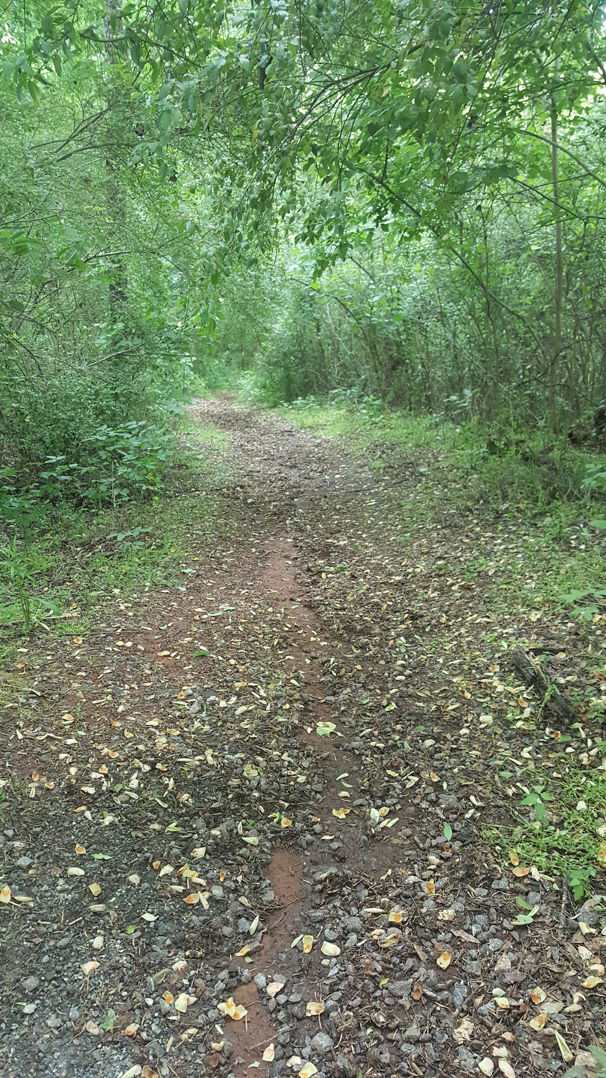 Hickory Trails Park