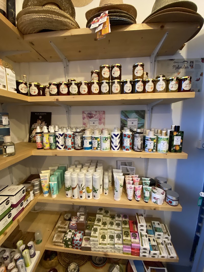 Nautilus Clothes Accessories Books