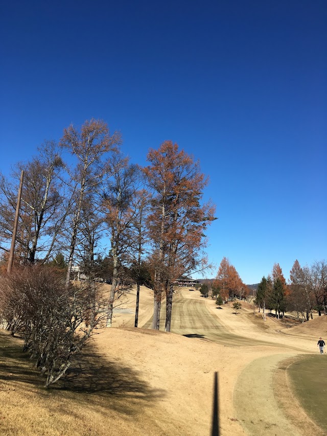 Toyoshina Country Club - Photo 4