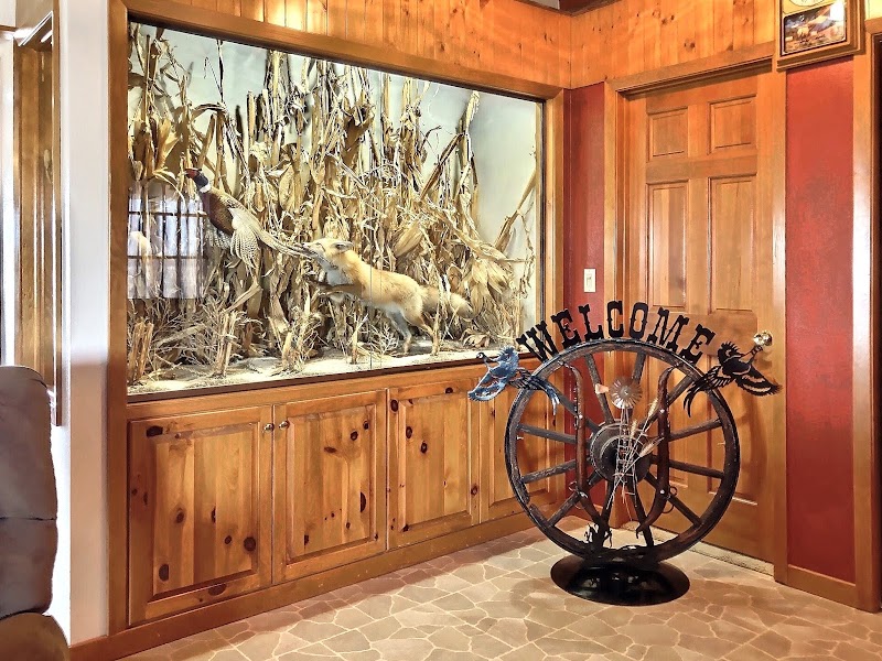 Rooster Roost Ranch - Photo 6