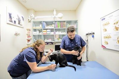 מרכז וטרינרי ינשוף - רפואה וטרינרית חכמה