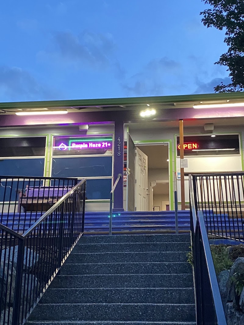 Video tour of Purple Haze - Everett retail environment