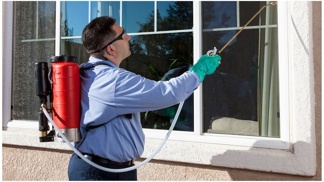 Earwigs Control Leawood KS