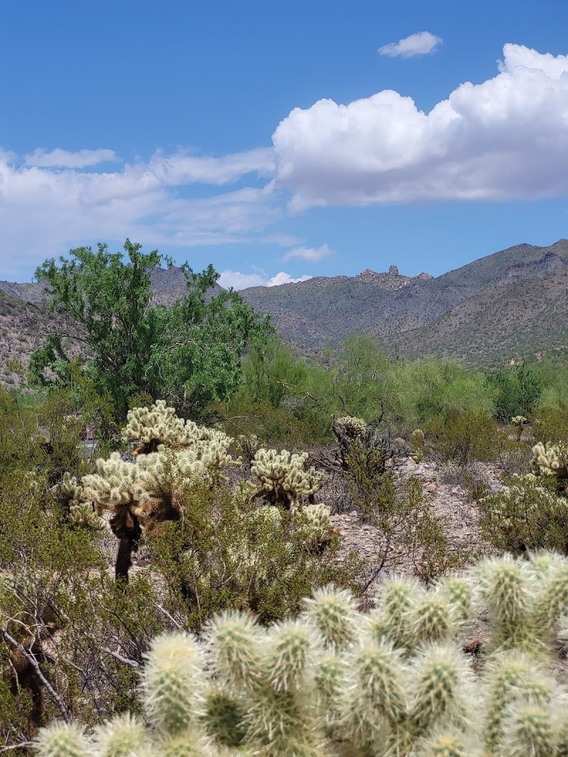 Gateway Trailhead - McDowell Sonoran Preserve - Photo 5
