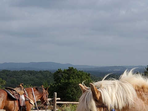 TWIN ELM GUEST RANCH - Photo 6