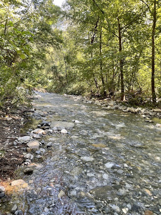 Parque Natural Rio La Silla fotoğraf 1