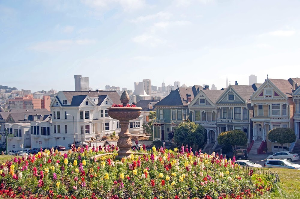 Alamo Square Park fotoğraf 1